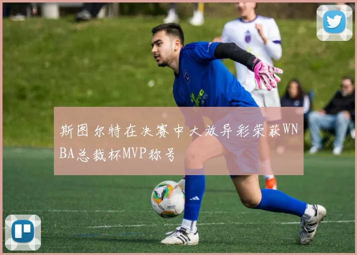 斯图尔特在决赛中大放异彩荣获WNBA总裁杯MVP称号