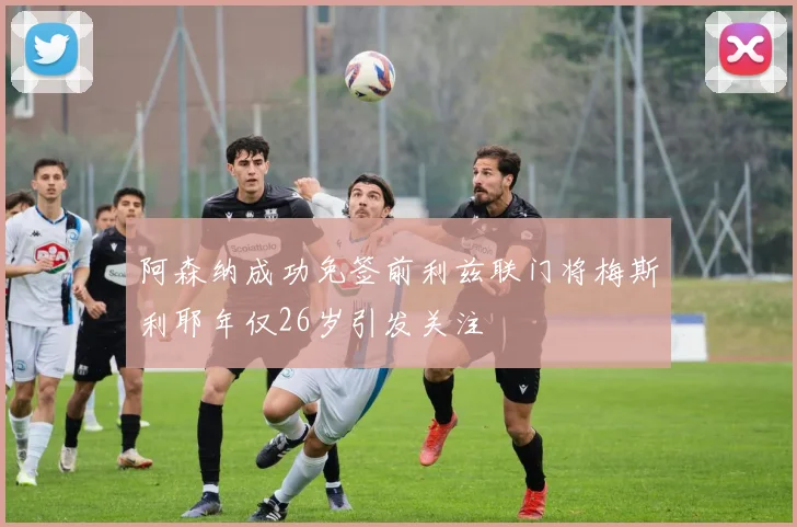 阿森纳成功免签前利兹联门将梅斯利耶年仅26岁引发关注